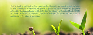 Reflections From the Students of the IITBT Translation Certificate Program