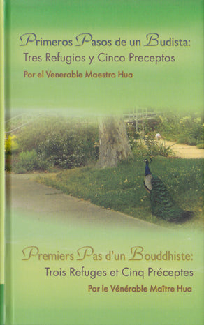 Primeros Pasos de un Budista: Tres Refugios y Cinco Preceptos